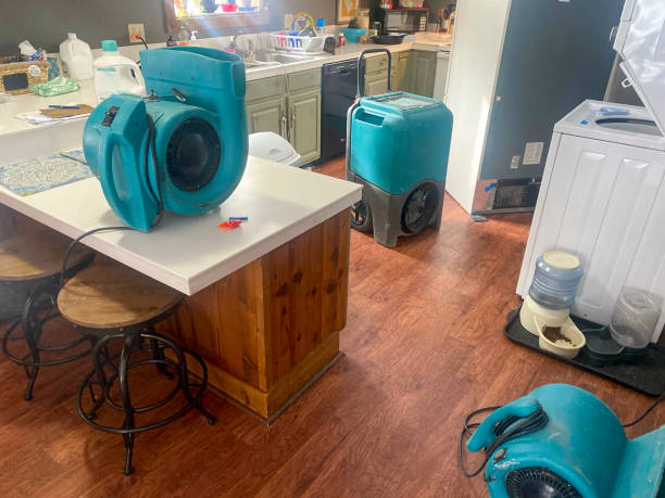 Best Residential water damage restoration  in Monterey, TN