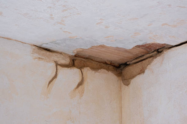 Best Flood damage cleanup  in Monterey, TN