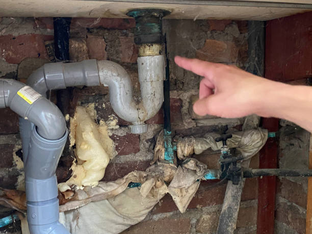 Best Basement water damage restoration  in Monterey, TN